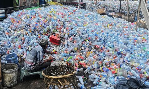 Collecting Plastic Bottles Global Times