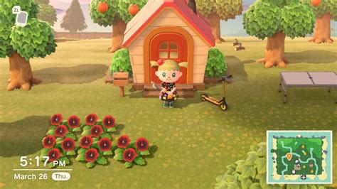 New Player Tips For Animal Crossing New Horizon
