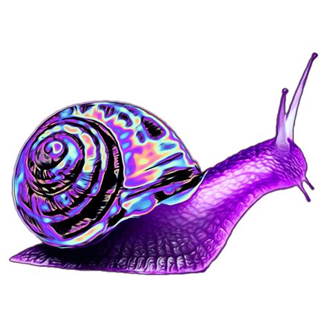 Purple Clipart Snail Purple Snail Transparent Free For Download On
