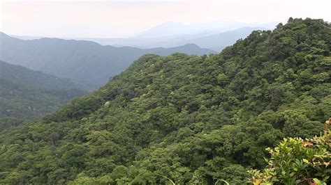 Dieser eintrag ist das gesamte in kubikmeter (kubikmeter) ausgeführte erdgas. Nature Sound of Taiwan - YouTube