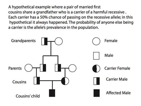 The Genetics Of Cousin Marriage Jstor Daily
