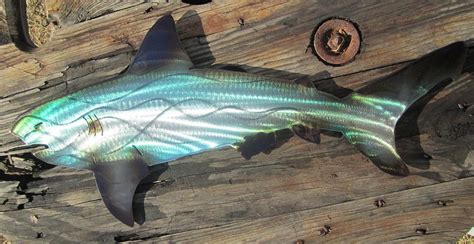 Shark Abstract Metal Wall Art Sculpture By Robert Blackwell Fine Art