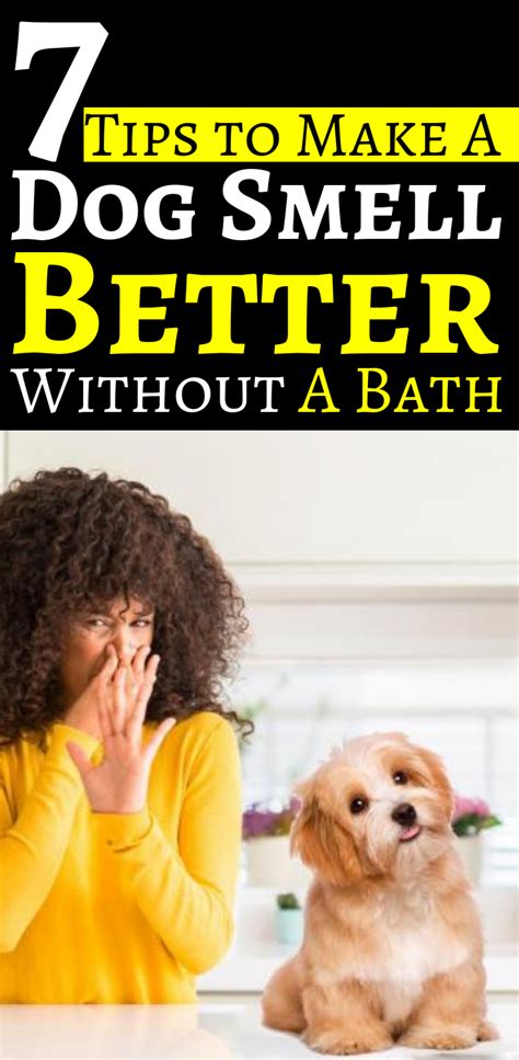 Your landlord may not be responsible to help you get rid of mold , but if he is, then you have legal remedies at your disposal. Does your dog stink? Do you want to get rid of dog smell ...