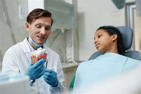 Friendly Dentist Holding Tooth Model While Consulting Child Stock Image