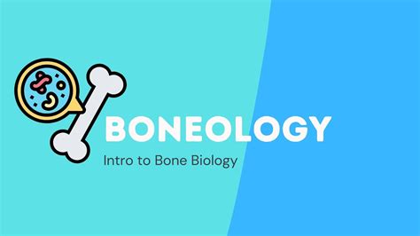Intro To Bone Biology Youtube