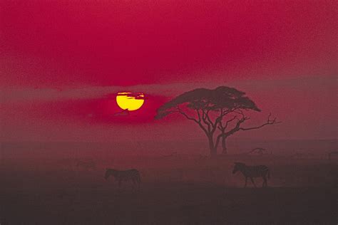 African Sunrise Photograph By Michele Burgess