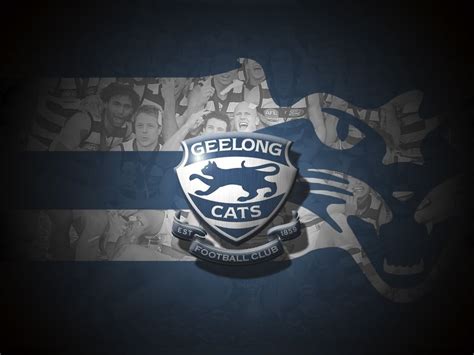 A place for fans of geelong cats afl to view, download, share, and discuss their favorite images geelong cats afl club. Geelong desktop wallpapers | Geelong cats, Cat wallpaper, Cats