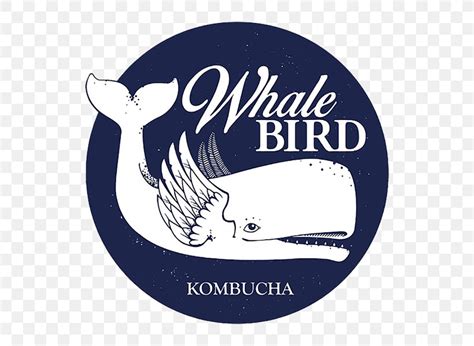 Whalebird Kombucha Beer Coffee Tea Png 600x600px Kombucha Beer