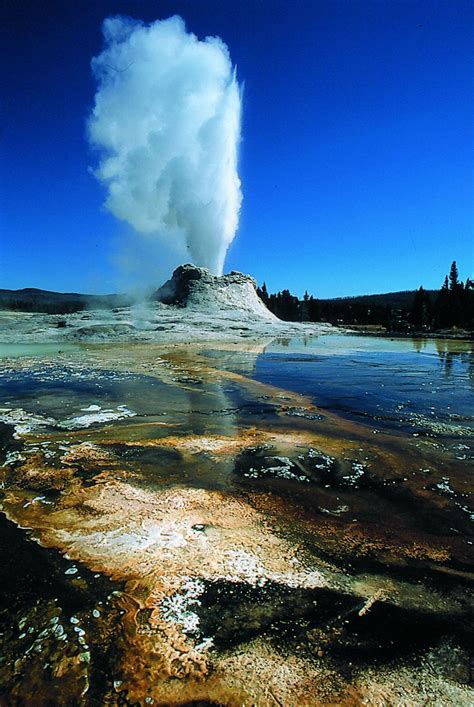 Castle Geyser At Yellowstone National Park Wyo National Parks