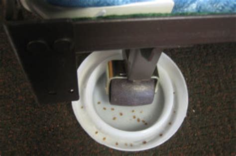 See full list on wikihow.com Simple to Make DIY Homemade Bed Bug Traps