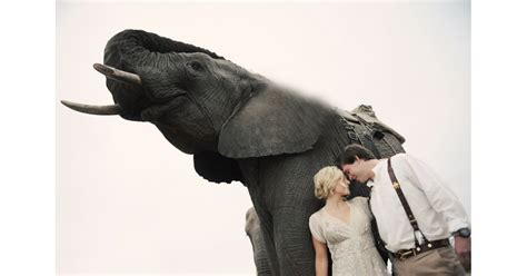 South African Safari Wedding With Elephants Popsugar Love And Sex Photo 37