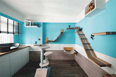 18 Amazing Cat Room Designs For Your Inspiration Cat Room Cat