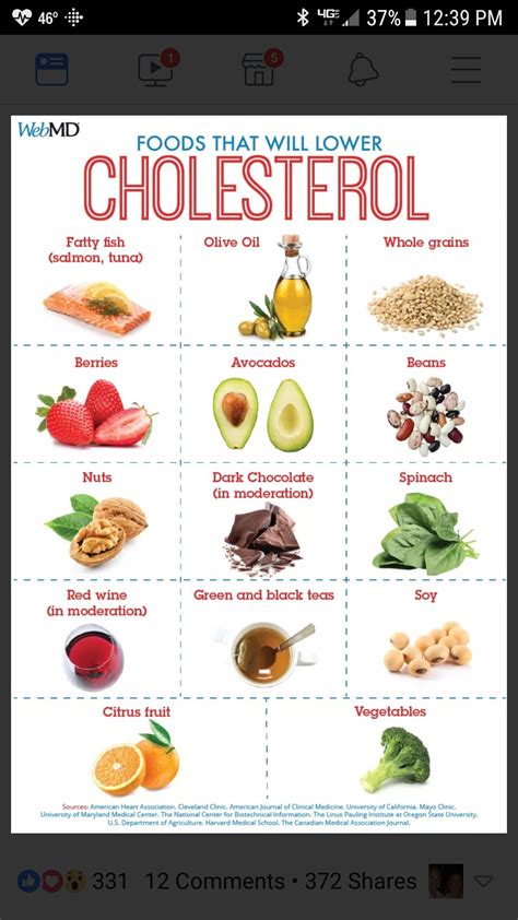 Printable Low Cholesterol Diet Plan