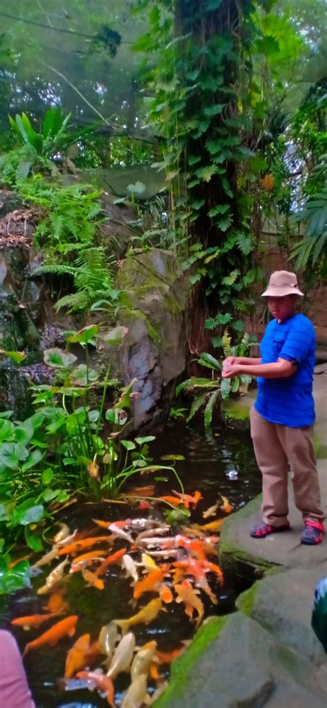 Pergi Taman Rama Rama And Reptilia Melaka Cerita Ceriti Ceritu Mamapipie
