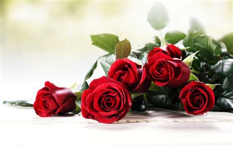 Roses Red Flowers Love Romance Emotions 4you Bouquet