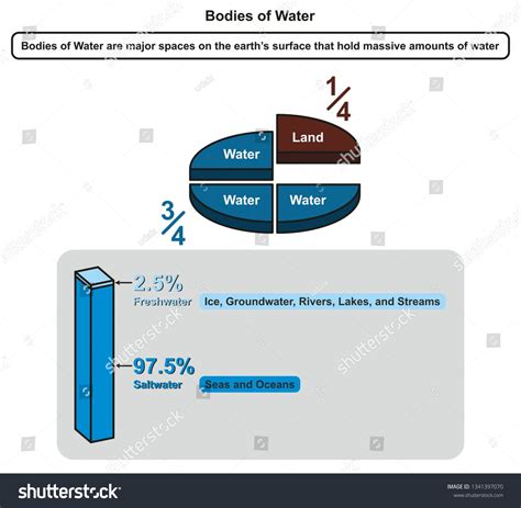 Bodies Of Water Infographic Diagram With Pie Chart Of Water And Land