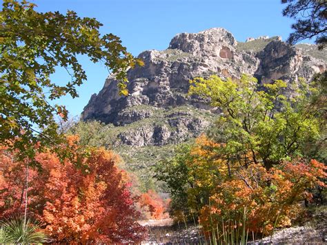 Texas Mountain Trail Daily Photo Fall Color In Guadalupe Mountains