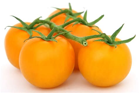 Tommy Toe Yellow Tomato Daves Seed