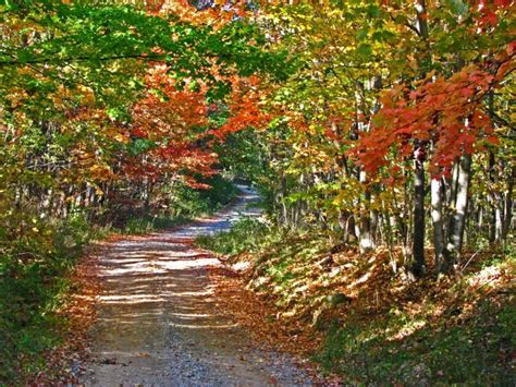 12 Country Roads In Ohio That Are Pure Bliss In The Fall