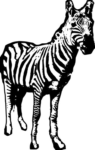 Svg Zebra Zoo Animal Safari Free Svg Image And Icon Svg Silh