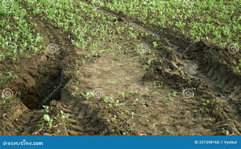 Erosion Damage Field Subsoil Hole Pit Soil Inappropriately Managed