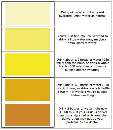 Dehydration Urine Color Chart Pee Color Running In The Heat I Have To