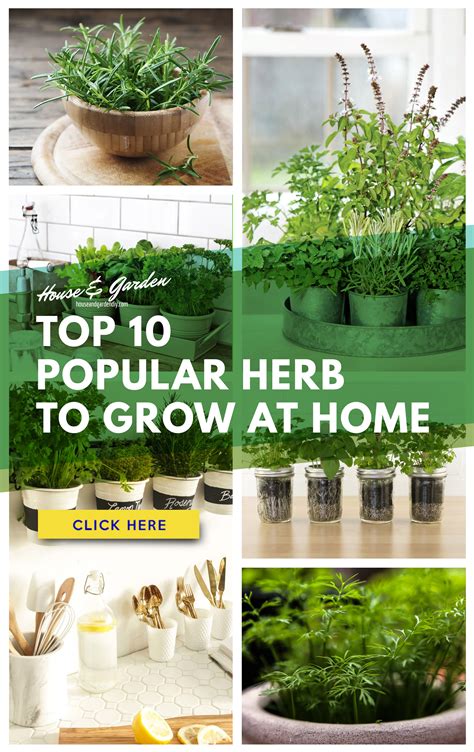 23 Herb Garden Ideas How To Grow And Easiest Herbs To Grow