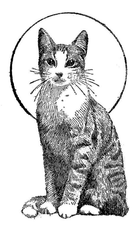 Https://tommynaija.com/coloring Page/realistic Cat Coloring Pages For Adults