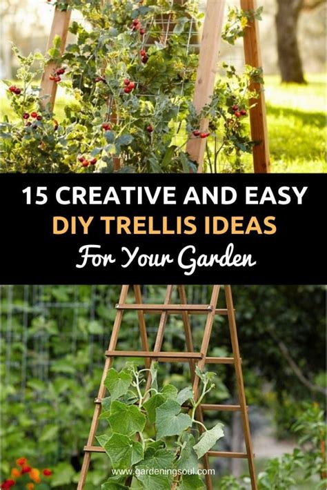 Creative And Easy Diy Trellis Ideas For Your Garden