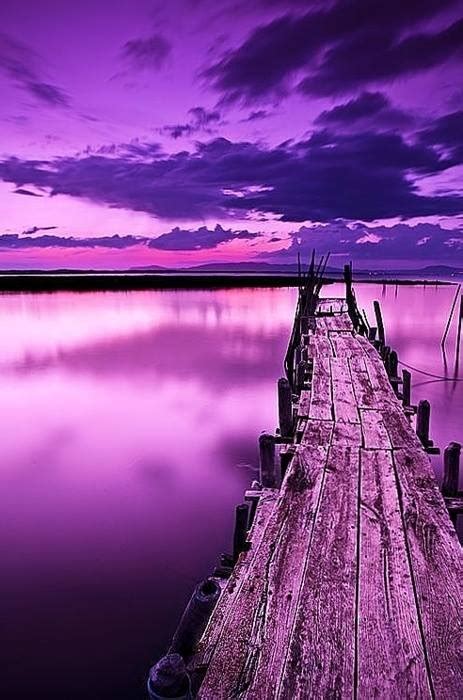 Purple Landscape Nature Pinterest