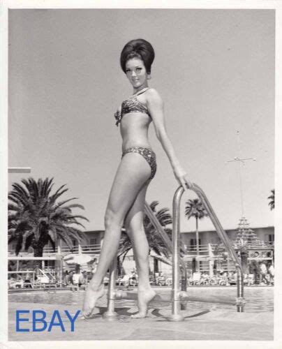 Marcela Biddle Busty Leggy Sexy Barefoot Vintage Photo Candid Las