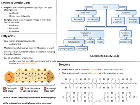 Solution Biochemistry Lipids And Fatty Acids Classification And