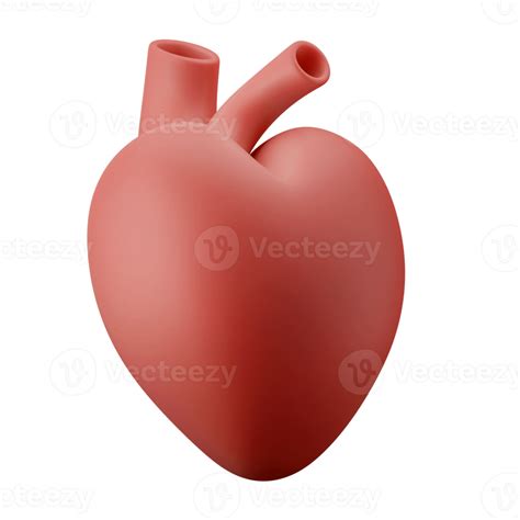 Biología Corazón Humano órgano Interno 3d Icono Ilustración 11098089 Png