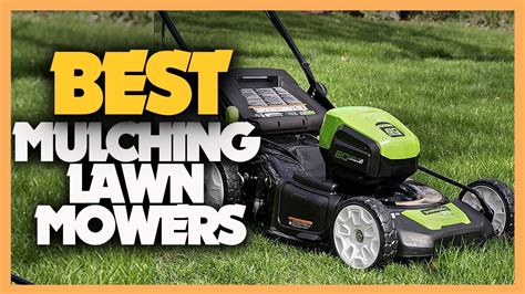 10 Best Mulching Lawn Mowers 2022 Youtube