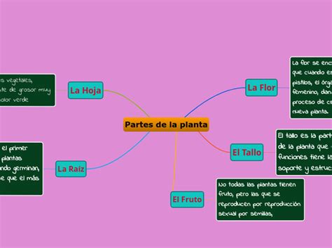 Partes De La Planta Mind Map