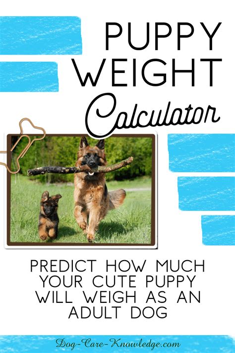 This calculation estimates your dogs weight as if he/she continues to grow the same average the calculations given are ways to estimate how large your puppy will grow. Puppy Weight Calculator: How Big Will Your Dog Be?