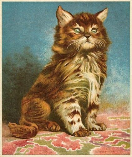 A Kitten Original Chromolithograph From Fur Coats And Feather Frocks