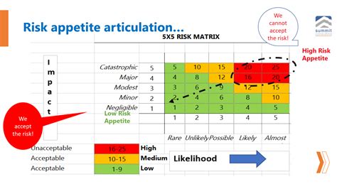 Risk Appetite Articulation Do Not Bite What You Cannot Swallow