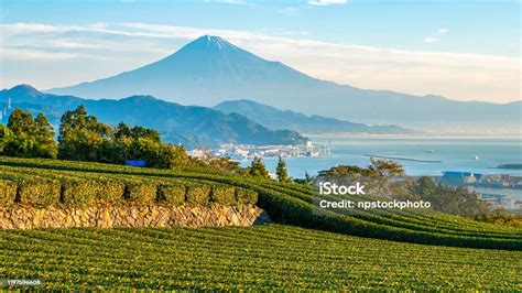 Sunrise Over Mt Fuji Fuji Mountain And Fresh Green Tea Field At