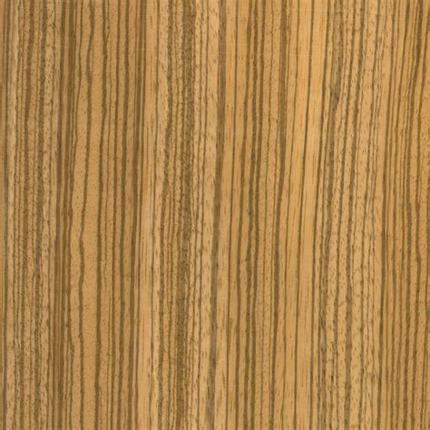 Zebrawood Is A Popular Exotic Hardwood Woodworking Network