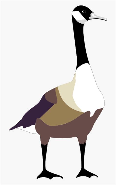Bird Free Vector Canada Goose Clipart Hd Png Download Kindpng