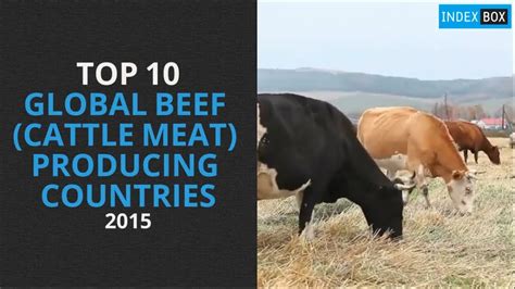Top 10 Global Beef Producing Countries Youtube