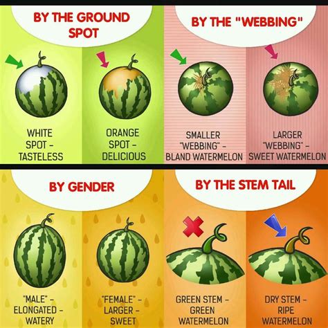 How To Select A Sweet Ripe Watermelon Watermelon Food Facts Sweet
