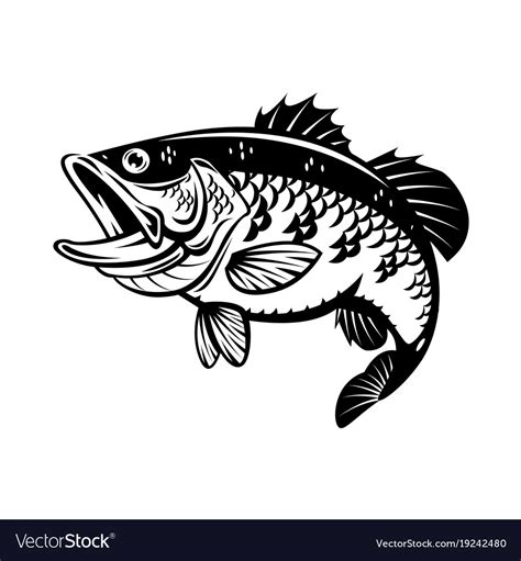Fishing Svg Bass Fish Svg Sea Bass Svg Bass Fish Cut File Etsy My XXX