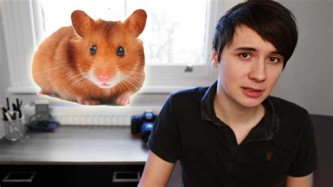 The Story Of My Hamster Youtube