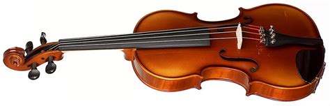 Dz strad maestro old spruce model 509 (our top pick). Violin Reviews 2021 - Rating the Best Violin Brands