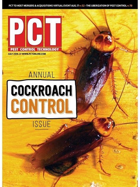 How to the find insects before they find you. German Cockroaches: 10 Key Facts to Remember - PCT - Pest ...