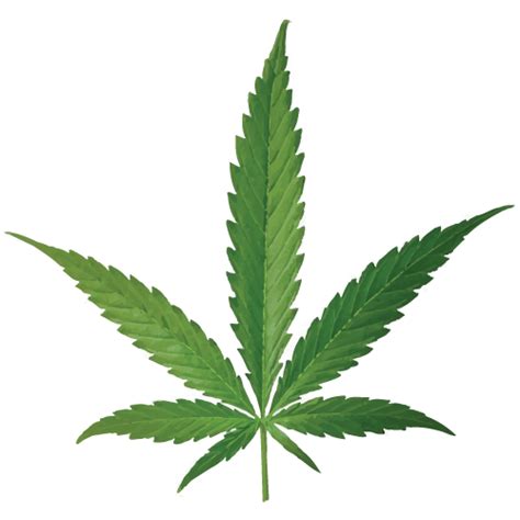 Cannabis Smoking Joint Leaf Bud Cannabis Png Download 500500