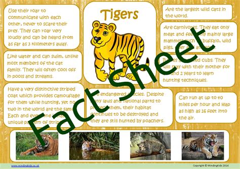 Find out about some of the the animal kingdom is one of five kingdoms of living things (or six in the us, where microscopic species are classified slightly differently). In The Jungle Activity Pack - MindingKids