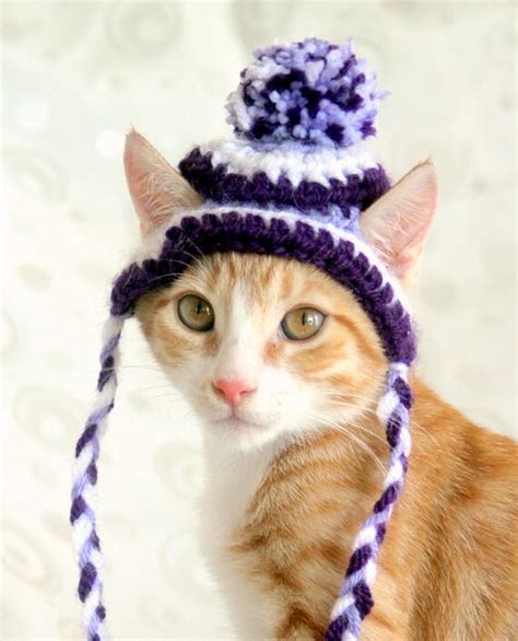 Hat For Cats Toboggan Cat Hat Beanie For Cast And Kittens Cat